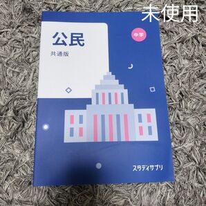 公民 スタディサプリ 中学 共通版