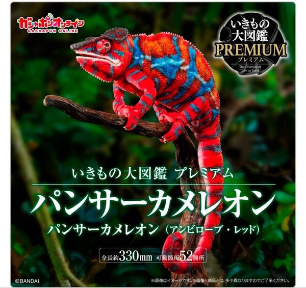 いきもの大図鑑プレミアム パンサーカメレオン(アンビローブ・レッド)フィギュア 生き物大図鑑 バンダイ BANDAI 爬虫類