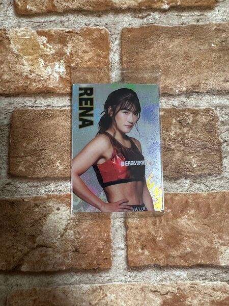 RIZINウエハース RENA