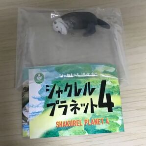 シャクレルプラネット4 シャクレルラッコ シャクレルプラネット