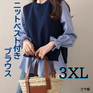 KNS05 ニットベスト付き ブラウス 2点セット 大きい プラスサイズ 2XL