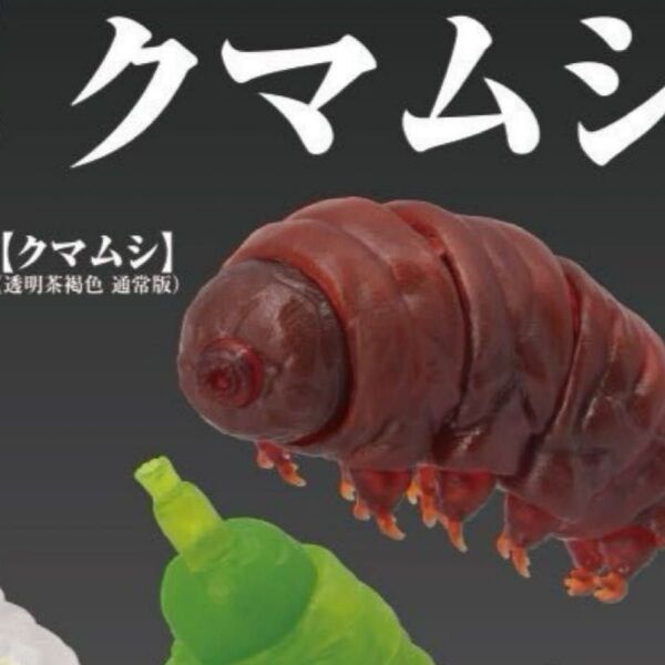原色図鑑シリーズ番外編 クマムシ クマムシ(透明茶褐色/通常版)