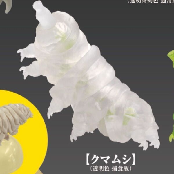 原色図鑑シリーズ番外編 クマムシ クマムシ(透明色/捕食版)