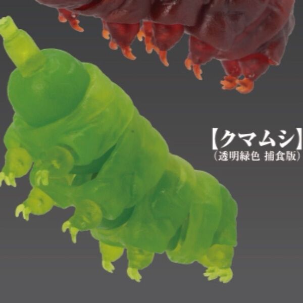 原色図鑑シリーズ番外編 クマムシ クマムシ(透明緑色/捕食版)