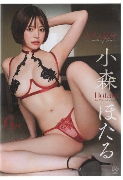 小森ほたる 大人な気分
