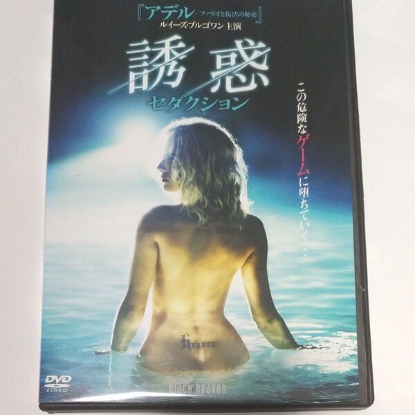 誘惑 セダクション DVD