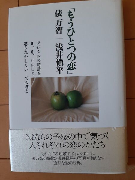 もうひとつの恋 俵万智+浅井愼平 単行本