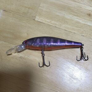 ビーフリーズ ロングビル