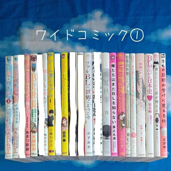 TYX03 ワイドコミック/アンソロジー① 17冊 バラ可