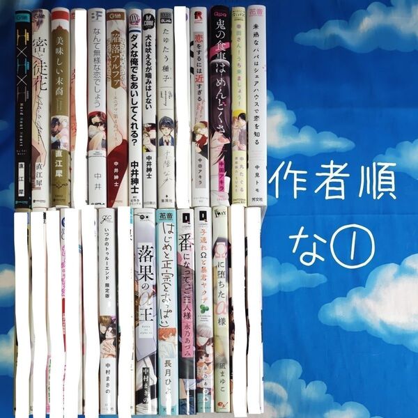 TYN01 BLコミックス 作家順 な① 18冊 バラ可