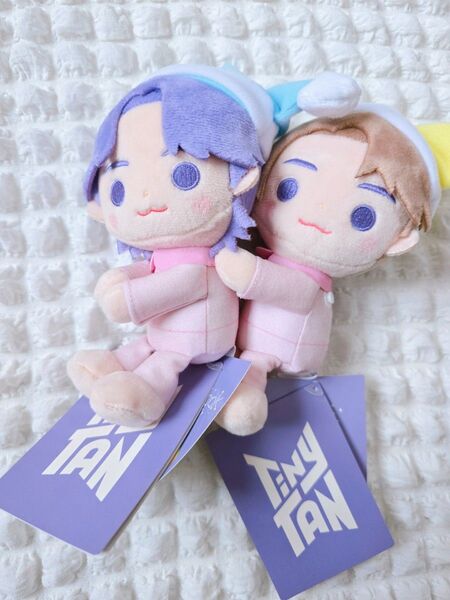 BTS TINY TAN タイニータンくっつきぬいぐるみ グク ジン