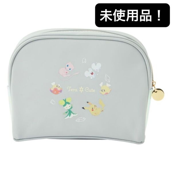 【未使用品】ポケモンセンター ポーチ TeraCute