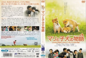 マリと子犬の物語/船越英一郎 松本明子/レンタル版