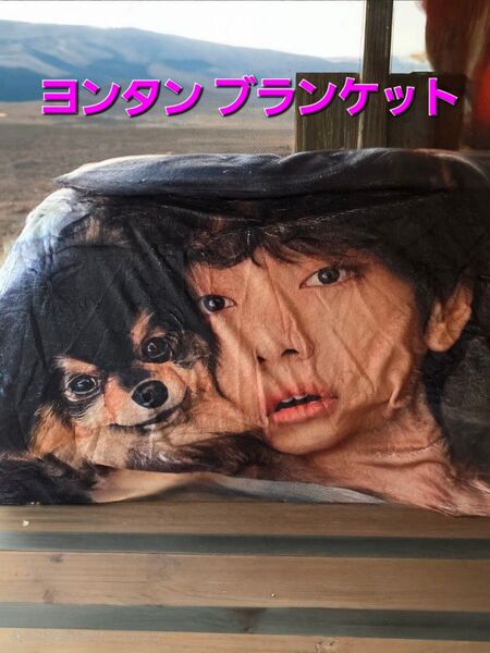 BTS V テテ ヨンタン ブランケット
