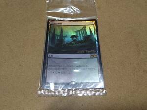 ☆MTG　疾病の神殿　FOIL