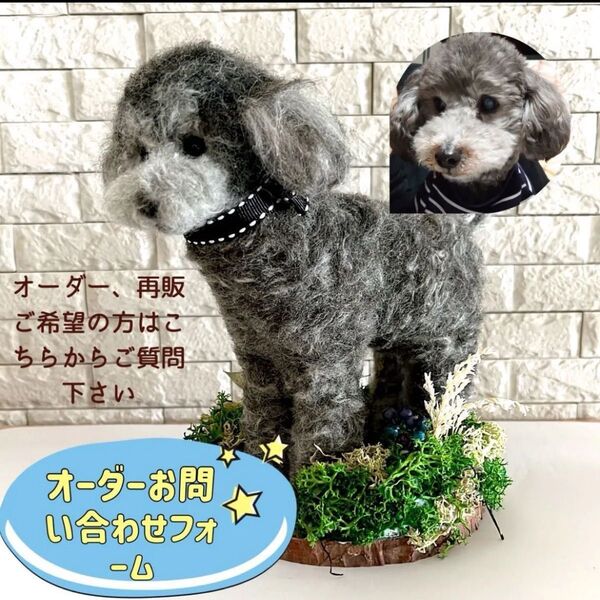 オーダーご質問承ります