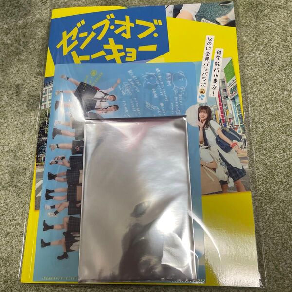 日向坂46 ゼンブオブトーキョー パンフレット クリアファイル 入場特典ポストカード藤嶌果歩