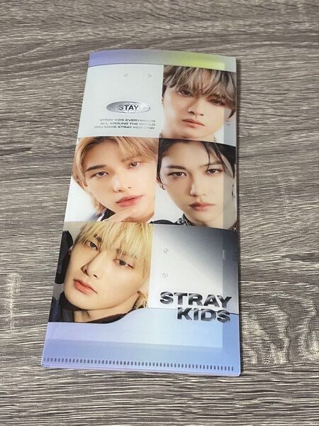 straykids スキズ ファイル