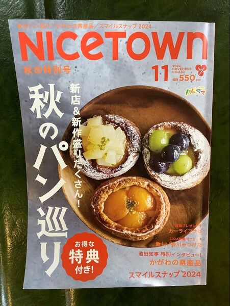ナイスタウン 11月号 香川県 情報誌