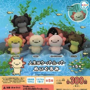 人生はウーパールーパーぬいぐるみ 全5種