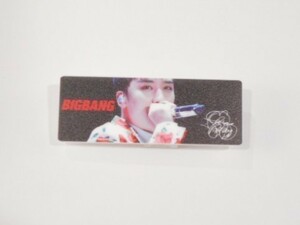 韓国 K-POP☆BIGBANG ビックバン V.I スンリ☆ホワイトアクリルネームバッチ　名札　B-82