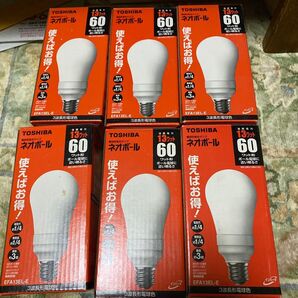 TOSHIBA EFA13EL-E 13W白熱電球 6個セット