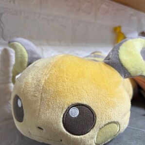 ぬいぐるみ ポケットモンスター ライチュウ