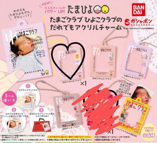 たまごクラブ たまひよ だれでもアクリルチャーム ガチャ