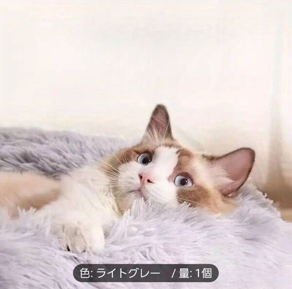 ペット用クッション愛犬愛猫 洗える あったかクッション サイズ50cm ペット用ベッド
