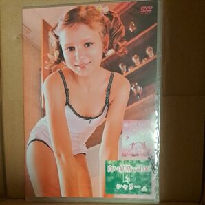 白い妖精 vol.02 DVD シェリー