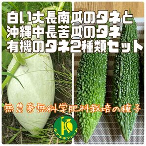 白い大長南瓜のタネ5粒と沖縄中長苦瓜のタネ5粒 無農薬・無科学肥料栽培のタネセット