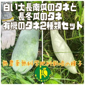 白い大長南瓜のタネ5粒と長冬瓜のタネ10粒 無農薬・無科学肥料栽培のタネセット