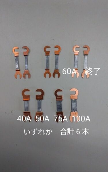 爪付ヒューズ 40A 50A 75A 100A いずれか 合計6本