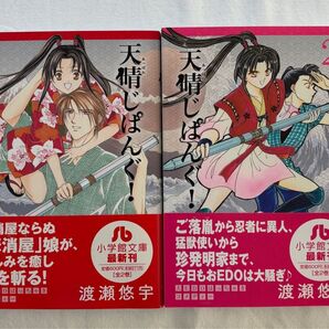 小学館文庫 天晴じぱんぐ! 全2巻