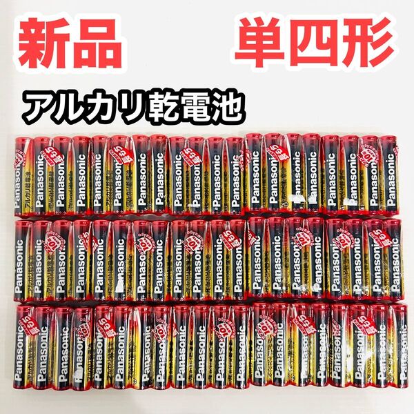 Panasonic パナソニック アルカリ乾電池 単4形 まとめ売り 60本