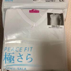 極さら イオン インナー 2枚セット