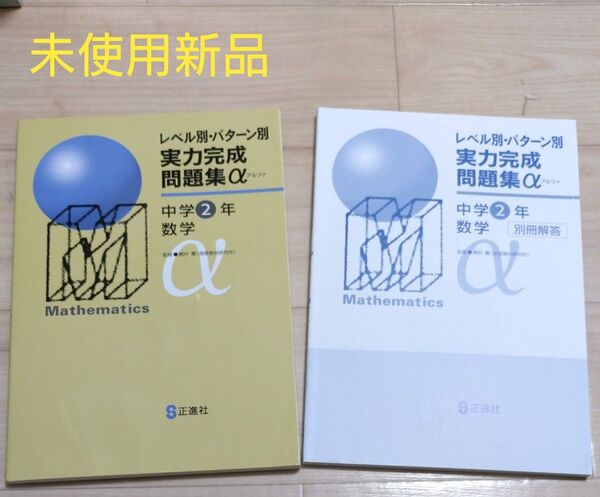 【未使用・解答セット】レベル別パターン別 実力完成問題集α 中学2年 数学