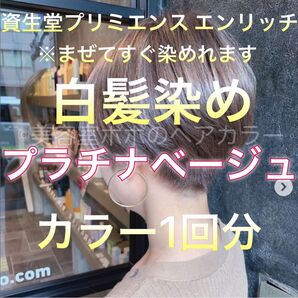 美容室の白髪染め プラチナベージュ 1回分