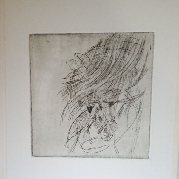 馬の銅版画