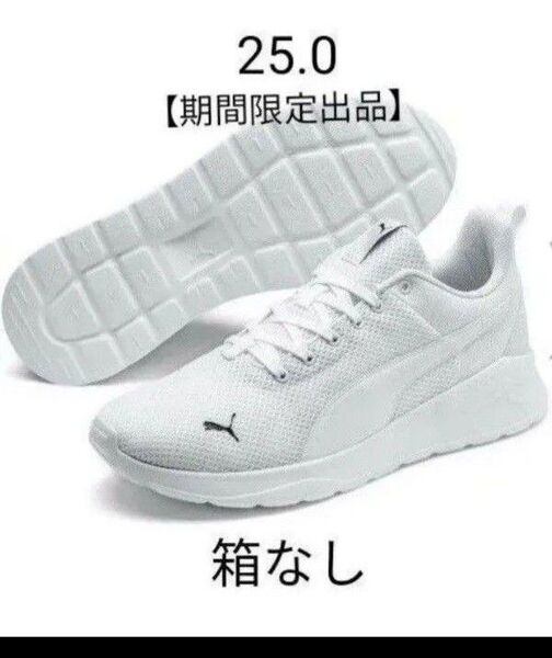 PUMA アンザラン ライト【期間限定出品】(箱なし発送) 2024.10 自宅保管開始