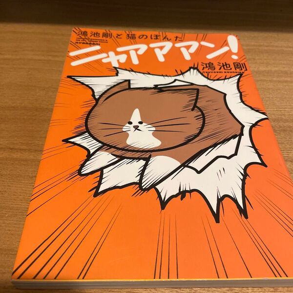 鴻池剛と猫のぽんたニャアアアン! 鴻池剛/著