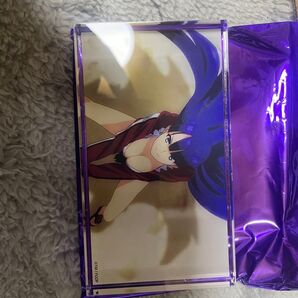 Fate/Grand Order Fes. 2024 夏イベ アクリルブロック マルタ
