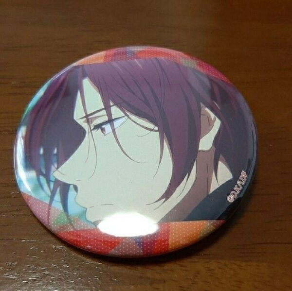 Free! Dive to the Future 缶バッジコレクション オープニング DF 缶バッチ 松岡凛 松岡凜 缶バッジ