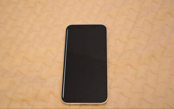 ※最終値下げ iPhone12pro