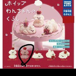ホイップわんちゃんのくらし なでて〜ココア