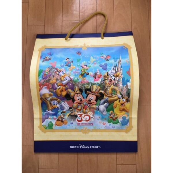 未使用 ディズニーリゾートホテルアメニティバッグ紙袋ディズニーランド30周年