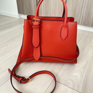 Edit Sheen ハンドバッグ 2way