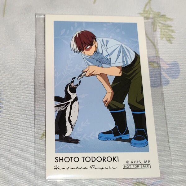 僕のヒーローアカデミア ヒロアカ 東武動物公園 特典 イラストカード 轟焦凍
