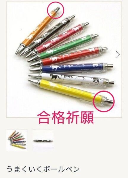 【合格祈願】ノーザンホースパーク うまくいくボールペン 2本セット