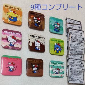 9種類 コンプリート サンリオ 缶バッジ サーティワンアイスクリーム SANRIO ハローキティ